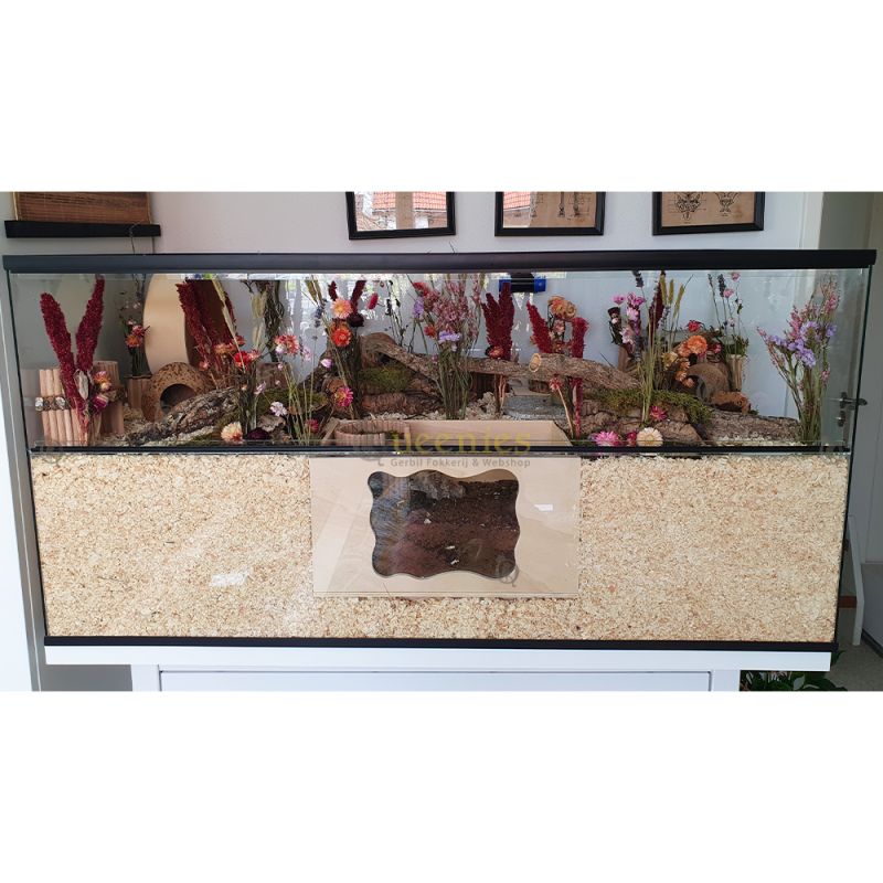 Goudhamster Terrarium – Lentescape 120x60x60