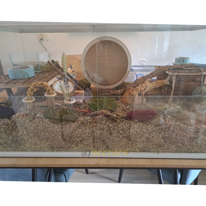 Wit Hamster Terrarium 100x50x50 cm – zonder plateaus