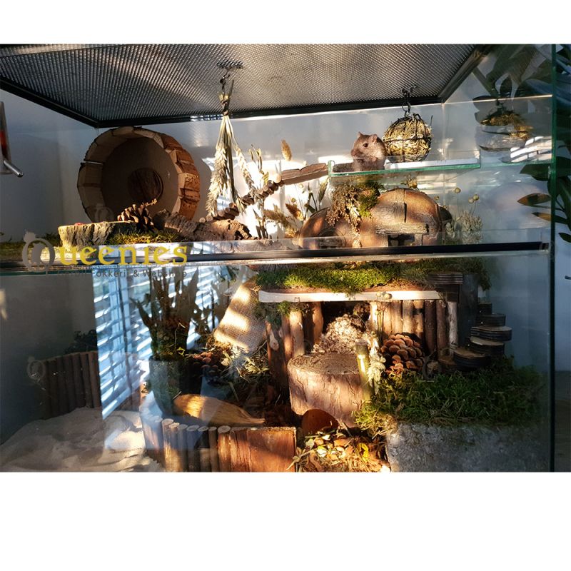 Gerbil Terrarium 65x40x50 cm