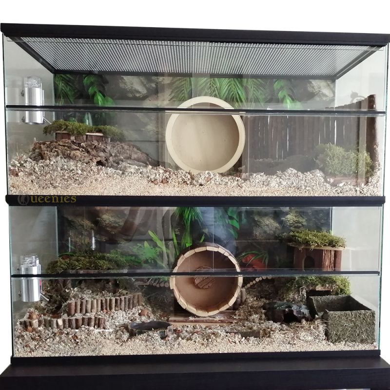 Dubbel Gerbilarium 100x40x100 cm