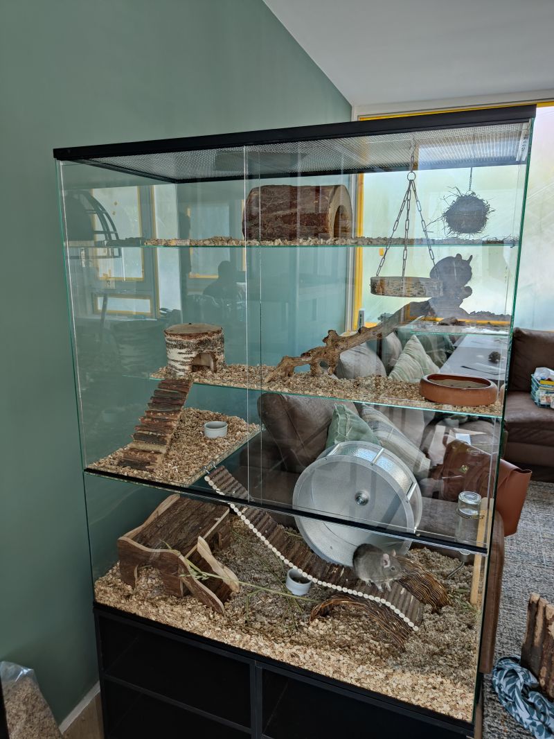 Glazen terrarium voor Degus - 100x50x120 cm