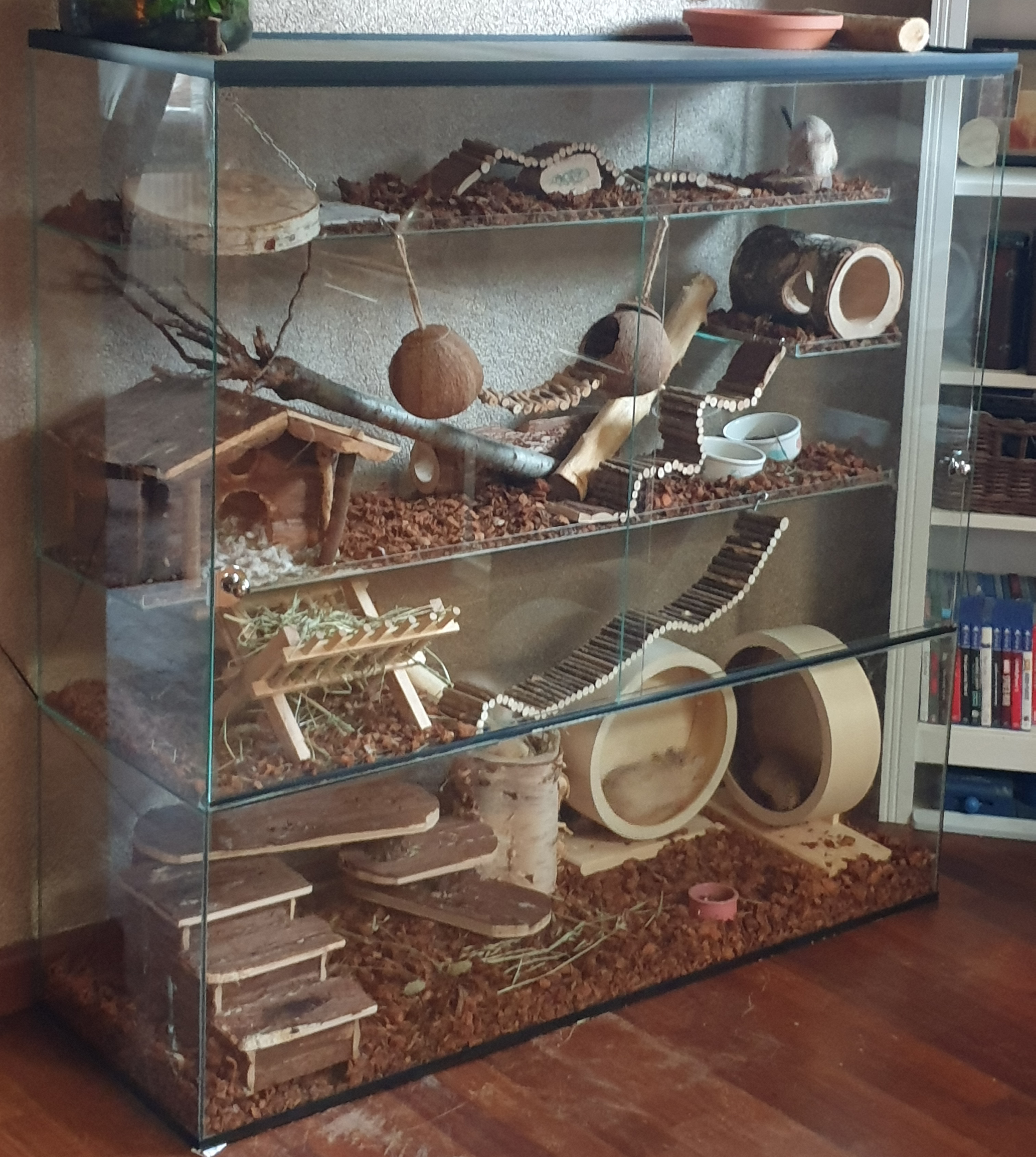 Glazen terrarium voor Degoes - 120x40x120 cm